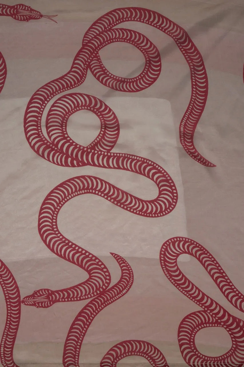 AMENT SNAKE BONE